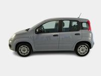 usata Fiat Panda 1.2 69cv S/S E6d-Temp Easy 5 PORTE