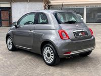 Usata Fiat 500 Lounge 69 CV (50 kW) 2016 Grigio Utilitaria