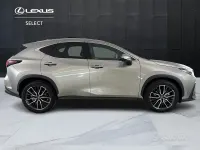 Usata Lexus NX350h Luxury Line 190 CV (139 kW) 2024 Grigio SUV