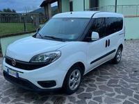 usata Fiat Doblò Maxi 1.6 mjt 16v Dynamic 90cv dualogic E5+