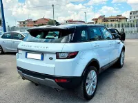 Usata Land Rover Range Rover evoque Dynamic 150 CV (110 kW) 2017 Bianco SUV