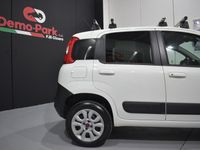 Usata Fiat Panda 4x4 Climbing 75 CV (55 kW) 2013 Bianco Utilitaria