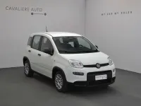 Nuova Fiat Panda Pop 65 CV (47 kW) 2026 Bianco Utilitaria