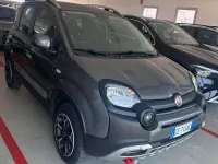 Usata Fiat Panda Cross Cross 86 CV (63 kW) 2021 Grigio Utilitaria