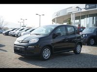 Usata Fiat Panda 70 CV (51 kW) 2024 Nero Utilitaria