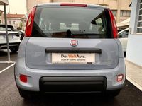 usata Fiat Panda Cross 1.0 FireFly Hybrid City 2022