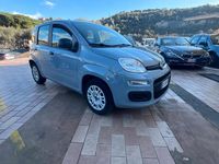 Usata Fiat Panda Connect 69 CV (50 kW) 2021 Grigio Utilitaria