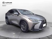 Usata Lexus NX350h 243 CV (178 kW) 2022 Sonic titanium SUV