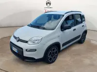 Usata Fiat Panda City Life 69 CV (50 kW) 2021 Bianco Utilitaria