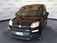 Usata Fiat Panda Icon 69 CV (50 kW) 2025 Nero Berlina