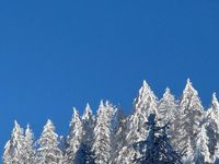 Usata Fiat 500 Sport 2016 Nero Utilitaria