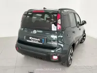 Usata Fiat Panda Cross Cross 65 CV (47 kW) 2026 Verde Utilitaria