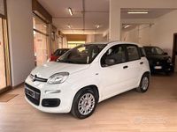 Usata Fiat Panda Easy 69 CV (50 kW) 2019 Bianco Utilitaria