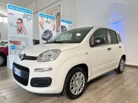 Usata Fiat Panda 69 CV (50 kW) 2025 Bianco Utilitaria