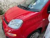 Usata Fiat Panda Easy 69 CV (50 kW) 2020 Rosso Utilitaria