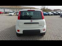 usata Fiat Panda 2ª serie NUOVA My23 1.0 70cv Hybrid