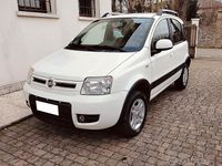 Usata Fiat Panda 4x4 Climbing 75 CV (55 kW) 2011 Bianco Utilitaria