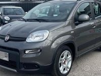 Usata Fiat Panda 71 CV (52 kW) 2024 Grigio Utilitaria