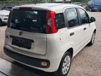 Usata Fiat Panda Easy 69 CV (50 kW) 2015 Bianco Utilitaria