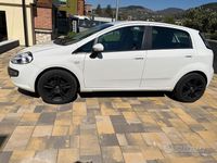 Usata Fiat Punto Evo 75 CV (55 kW) 2011 Bianco Utilitaria