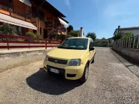 Usata Fiat Panda 4x4 Climbing 60 CV (44 kW) 2005 Giallo Utilitaria