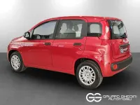Nuova Fiat Panda 65 CV (47 kW) 2026 Rosso Utilitaria