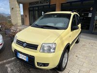 Usata Fiat Panda 4x4 Climbing 69 CV (50 kW) 2006 Giallo Utilitaria