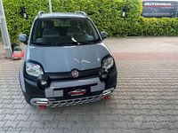 Usata Fiat Panda Cross Cross 69 CV (50 kW) 2022 Grigio Utilitaria