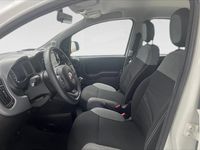 Usata Fiat Panda City Life 70 CV (51 kW) 2022 Bianco