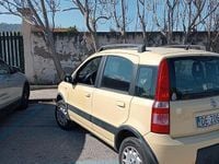 Usata Fiat Panda 4x4 2007 Utilitaria