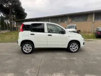 Usata Fiat Panda 84 CV (61 kW) 2018 Bianco Utilitaria