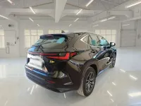 Usata Lexus NX350h Business Edition 190 CV (139 kW) 2022 Nero SUV