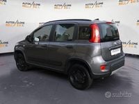 Usata Fiat Panda 4x4 Wild 85 CV (62 kW) 2022 Grigio Utilitaria