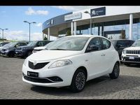 usata Lancia Ypsilon 1.2 69 CV 5 porte Gold