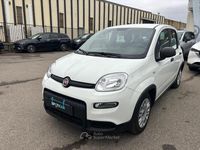 Usata Fiat Panda S 69 CV (50 kW) 2024 Bianco Utilitaria
