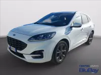 Usata Ford Kuga ST-Line 120 CV (88 kW) 2022 Bianco SUV