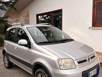 Usata Fiat Panda 4x4 60 CV (44 kW) 2010 Argento Utilitaria