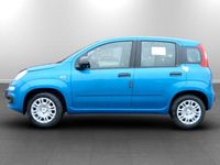Nuova Fiat Panda Icon 70 CV (51 kW) 2025 Vari colori disponibili Utilitaria