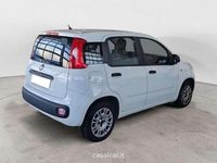 Usata Fiat Panda Easy 95 CV (69 kW) 2018 Bianco Utilitaria