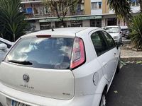 Usata Fiat Punto Evo Dynamic 77 CV (56 kW) 2009 Bianco Utilitaria