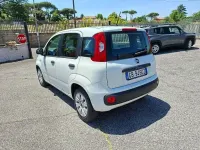 Usata Fiat Panda Easy 69 CV (50 kW) 2020 Bianco Utilitaria