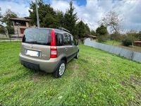 Usata Fiat Panda 4x4 60 CV (44 kW) 2011 Utilitaria