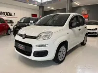 Usata Fiat Panda Easy 69 CV (50 kW) 2020 Bianco Utilitaria