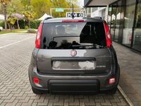 usata Fiat Panda 1.0 1.0 FireFly S&S Hybrid