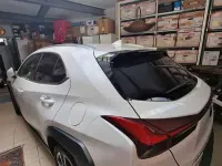 Usata Lexus UX 250h 184 CV (135 kW) 2020 Bianco SUV