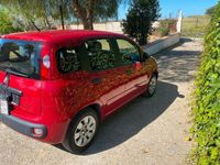 usata Fiat Panda 1.2 benzina anno fine 2016