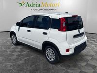 Usata Fiat Panda S 70 CV (51 kW) 2024 Bianco Utilitaria