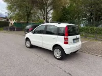 Usata Fiat Panda 4x4 60 CV (44 kW) 2007 Bianco Utilitaria