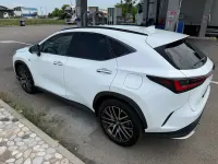 Usata Lexus NX450h+ Sport Line 185 CV (136 kW) 2022 Bianco perla met. SUV