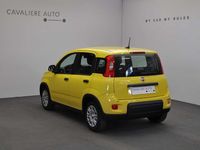 Nuova Fiat Panda Pop 69 CV (50 kW) 2025 Giallo Utilitaria